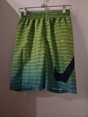 Nike Kids Green Gradient Swim Trunks with Black Swoosh